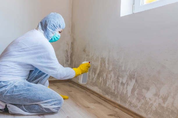 Best Industrial Mold Remediation  in Leominster, MA