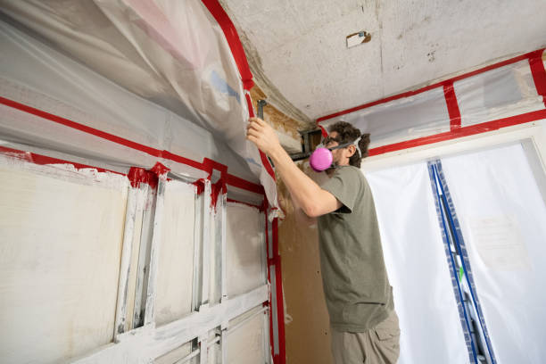 Trusted Leominster, MA Mold Inspection, Removal & Remediation Experts